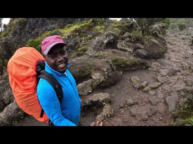 How to pay your guides | Scenic Views | Shira Camp | Mount Kilimanjaro | The Roof of Africa | Day 2