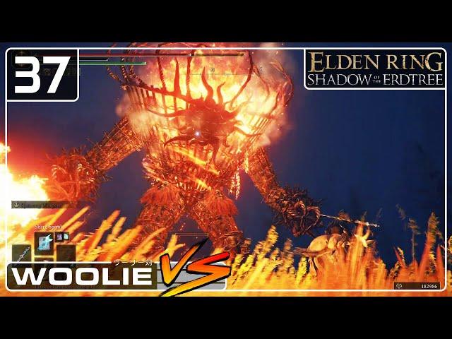 Why Is This Furnace Golem Wearing Thigh-High Boots? | Elden Ring: Shadow of the Erdtree (37)