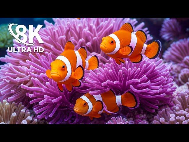 Marine Marvels 8K - Exploring Ocean Depths with Stunning Marine Life