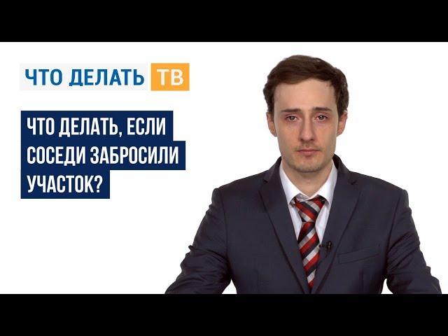 Что делать, если соседи забросили участок?