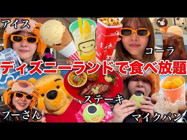 【ぼっちディズニー】今日も安定のひとりディズニーランドでご飯食べてキャラクターと遊んで最高だった！！！