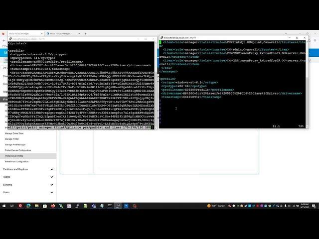 iPrint: Copy Printer Driver Profile to Another Print Manager