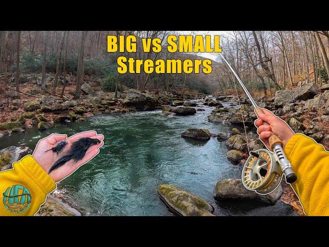 Fly Fishing with Streamers: BIG vs SMALL - Which works best? (brown trout)