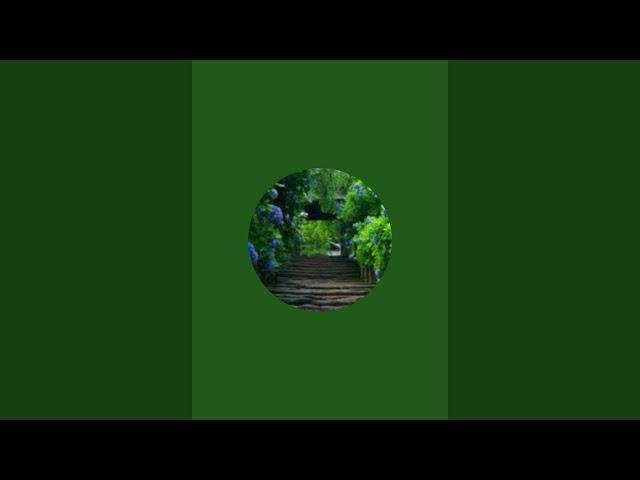 chandan Creation is live