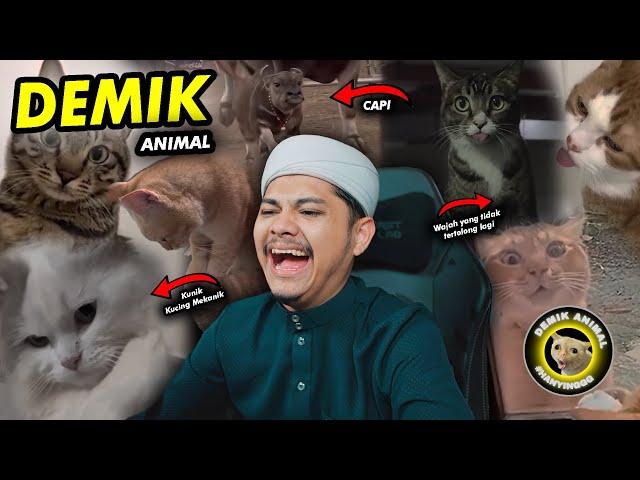 NGABUBURIT BARENG KUCING MEKANIKReaction Demik Animal