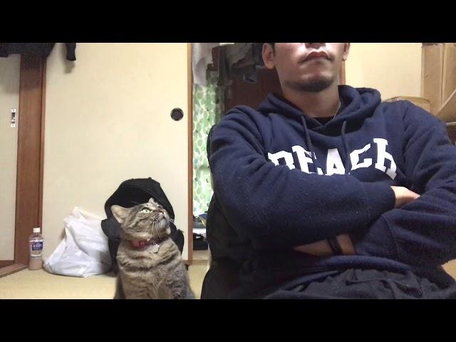 【猫動画】かまってモードの猫を無視した結果がこちら。。。Don't ignore me!!