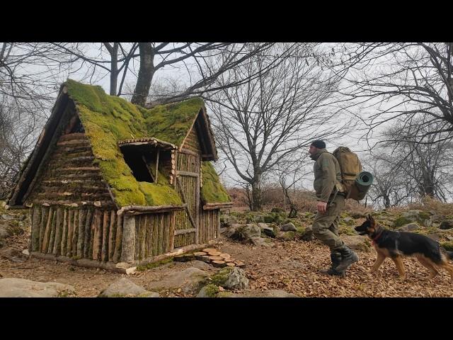 Wilderness Survival: Building a Log Cabin with Bushcraft Skills | Primitive Techniques in The Forest