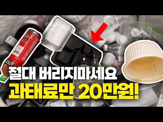 2024년 새롭게 바뀐 분리수거법! 쓰레기 분리 배출 꿀팁 | 재활용 일반 음식물 쓰레기 | 과태료