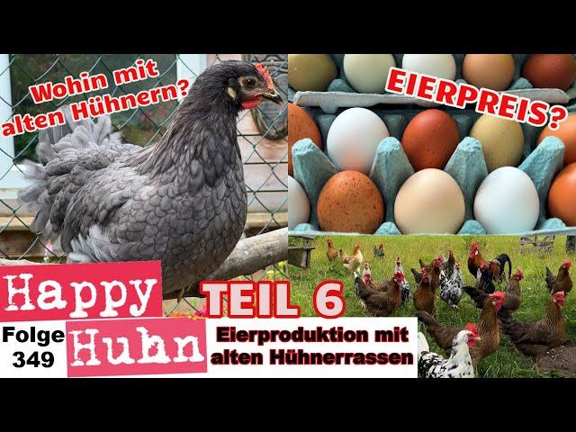 Eierproduktion mit alten Hühnerrassen: Eierpreis? Wohin mit alten Hühnern? Teil 6 - HAPPY HUHN E349