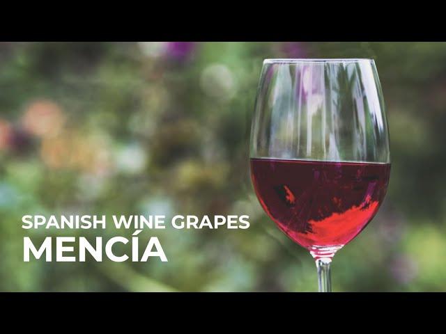 Spanish Wine Grapes: Mencia