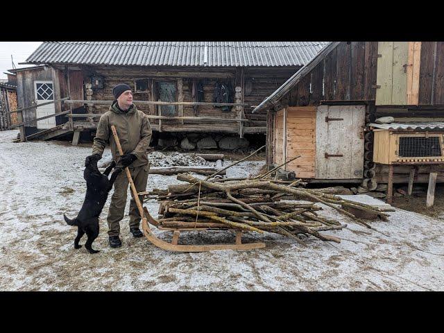 Life in a Mountain village Far from Civilization, harvesting firewood on sleds.