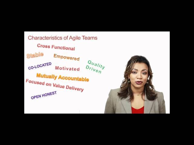 Agile Teams - Part 1 | Team Characteristics