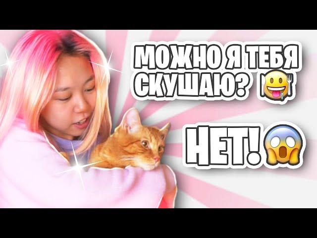 Симбу чуть не скушал хомячок | Едем в гости к Yolo House