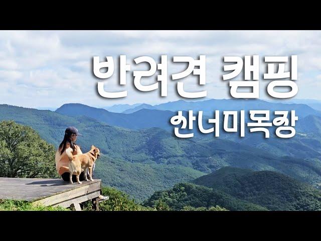 Healing Camping with My Dog in Korea's Stunning Mountain View