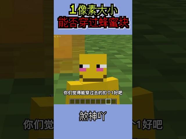 缩小100倍，能穿过蜂蜜块吗？快进来看看！ #我的世界
