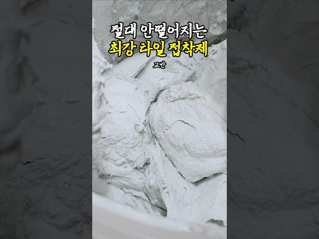 절대 안떨어지는 최강 타일 접착제 #shorts