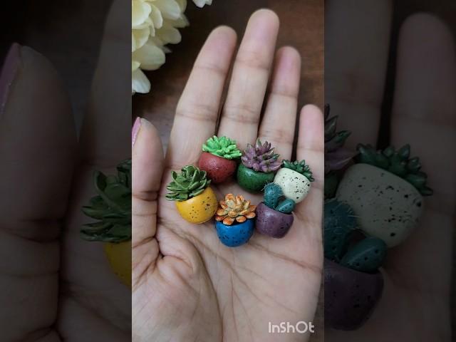 #plants #succulents #miniature #handmade #diy #cute #craft #hobby
