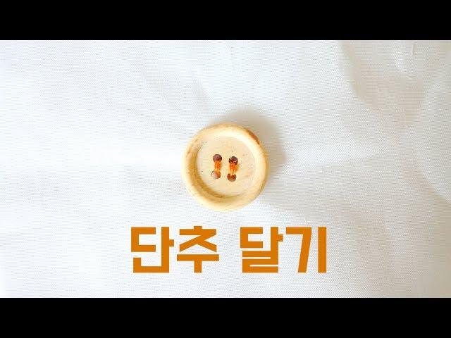 단추 달기