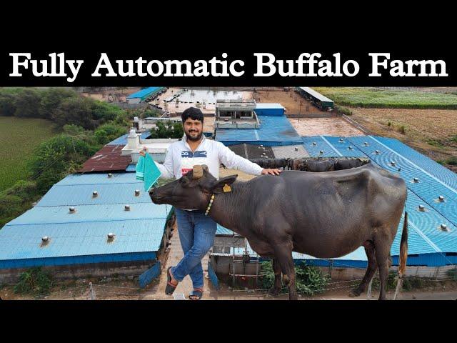 गुजरात का इकलौता मॉडर्न भैंसों का फार्म - Fully Automatic Buffalo Dairy Farm Business