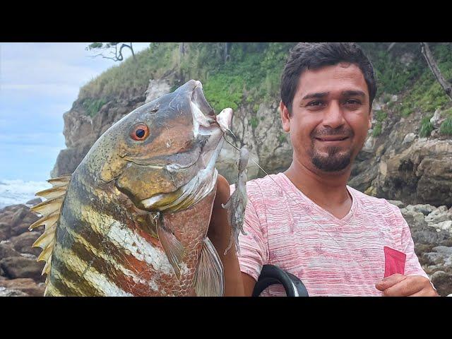 COMO SACAR Pargos desde las ROCAS Pesca de ORILLA