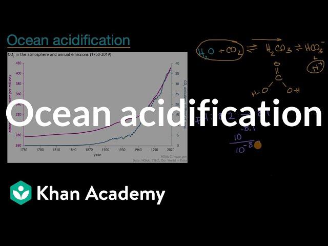 Ocean acidification | Biodiversity and human impacts | High school biology | Khan Academy