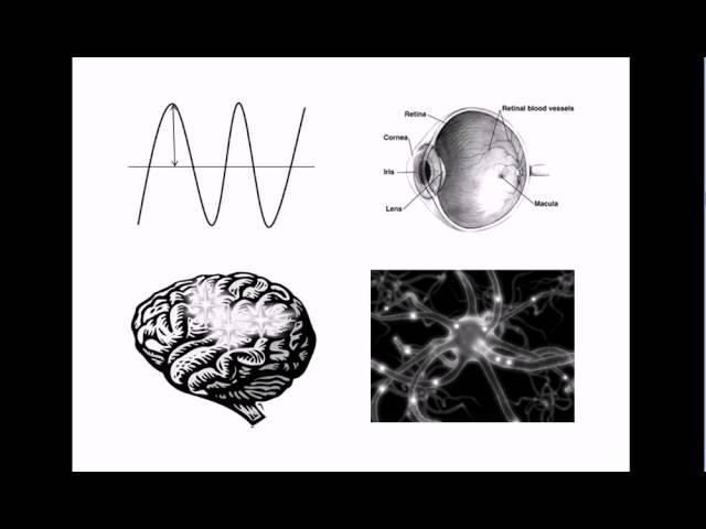 Non-Physical Properties of the Mind? Qualia #1: Introduction