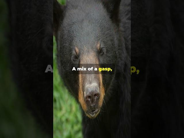 "Man's dishwashing interrupted by a surprise bear visitor! #KitchenBearEncounter"