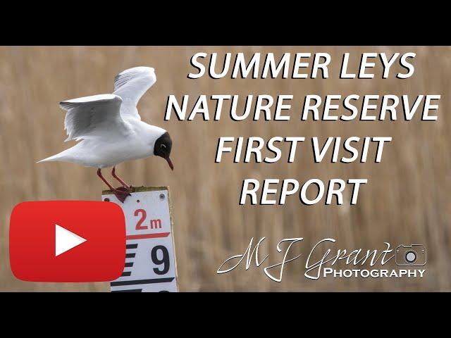 Summer Leys Nature Reserve | Wildlife Photography | First visit | Bird Photography | Canon 90D