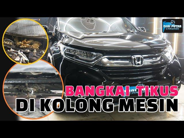 BEBAS HAMA TIKUS HONDA CRV PRESTIGE FULL DETAILING