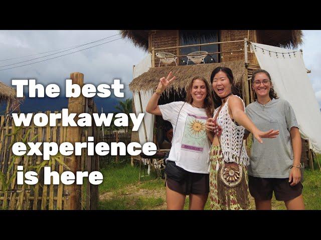 EP.24 1st time hosting volunteers from Workaway｜第一次招待国际志愿者