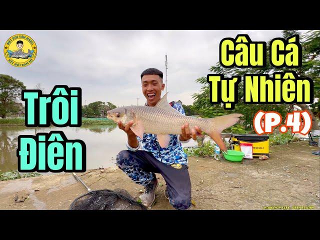 Hành Trình Đi Câu Cá Tự Nhiên (phần 4)