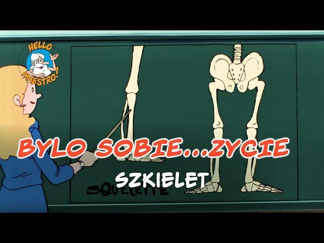 Bylo Sobie... Zycie  Szkielet 