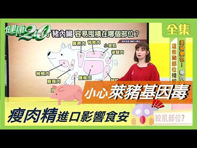 小心萊豬基因毒 瘦肉精進口影響食安 健康2.0 20201017 (完整版)