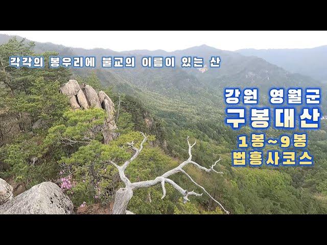 봉우리마다 불교의 윤회설에 맞게 이름이 있는 "구봉대산" 산행