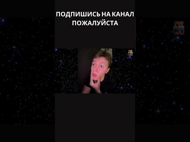 #Угарный Хамстер #Я РЖАЛ ДО СЛЕЗ 15 Минут ОТБОРНЫХ ПРИКОЛОВ 2024 Смешные видео #shorts