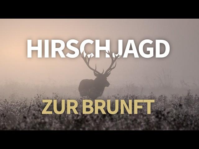 Mit Hirsch im Herzen – Auf Brunfthirsch mit der Doppelbüchse – Hunt on Demand Ausschnitt