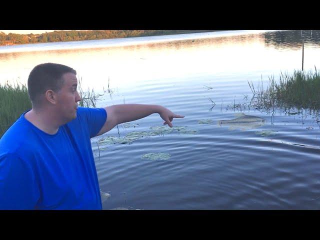 Collecting Wild Fish For Aquarium - Florida Native Fish with Aquarium Co-op