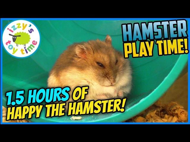 Happy the Hamster’s 4-Year Journey: Sir Hamsterlot’s IKEA Mansion (1.5+ Hours!)