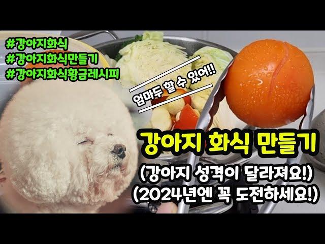 HOMEMADE DOG FOOD | Healthy Dog Food Recipe 745