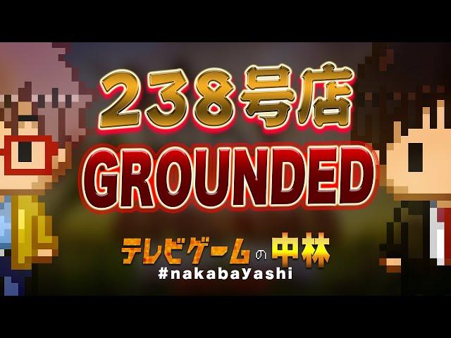 テレビゲームの中林 238号店 GROUNDED