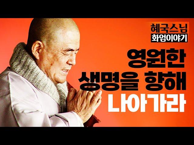 [#혜국스님] 마음의 본질을 깨닫고 영원한 생명을 향해 나아가라 #화엄이야기 (29회)