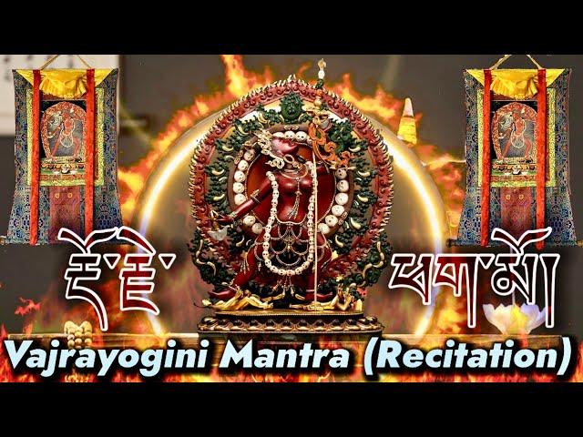 Super Powerful Dakini Mantra(Recitation)Vajrayogini|རྡོ་རྗེ་ཕག་མོ Dorje Phagmo बज्रा योगीनी मन्त्र