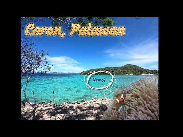 Coron, Palawan (Malcapuya Island, Ditaytayan Sandbar, & Bulog Dos Island)