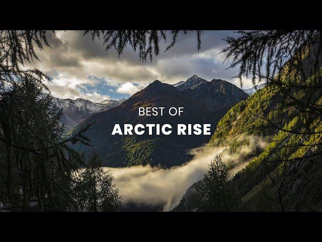 Best of Arctic Rise