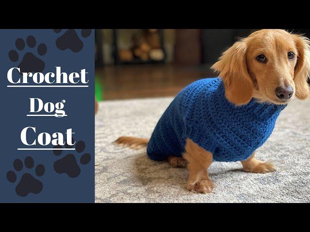 Crochet a Cozy Sweater for your Furry Friend! | Easy Pattern & Tutorial