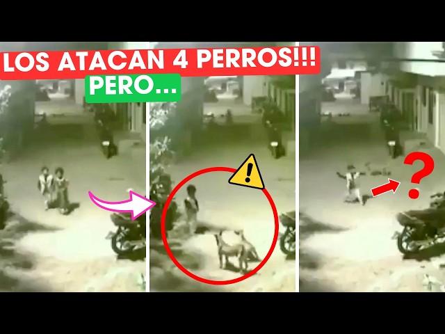 NIÑOS iban caminando por la CALLE y los RODEARON 4 PERROS... pero ESTO LOS SALVÓ! 