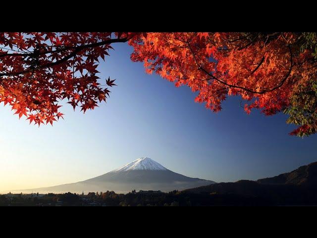 3 HOURS of the Best Traditional Japanese Music - Relaxing Music for Stress Relief and Healing