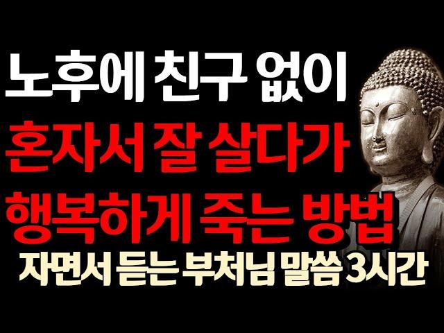 혼자 살다 죽는 것이 행복하다 | 노후에는 다 부질없다 이렇게 살아라 | 자면서 듣는 부처님 말씀 3시간 |  삶의 지혜 I 인생 조언 I 격언 I 오디오북 I 철학