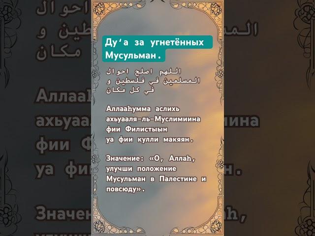 Ду‘а за угнетённых Мусульман. #палестина #исламскиевидео #дуа #ДуаЗаПалестину