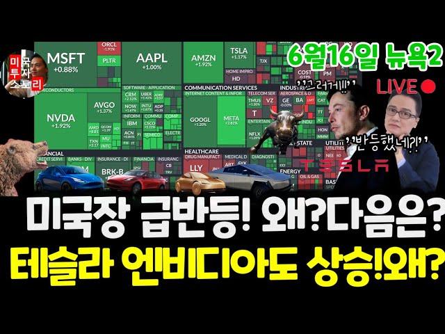 미국주식시황/오늘 왜 급반등했나? 테슬라 엔비디아 상승! 왜? 구글 애플 아마존 메타 마이크로소프트 팔란티어 아이온큐 QBTS 리게티 브로드컴 AMD LLY $tsla #tesla